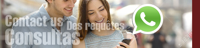 Consultas / Contact us / Des Requetes