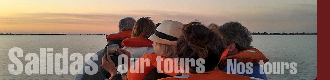 Salidas / Our Tours / Nos Tours