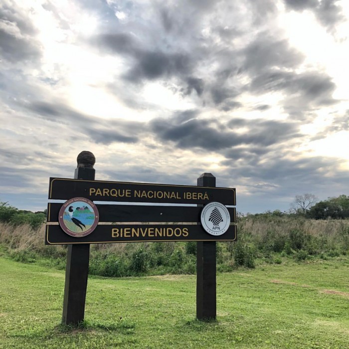 Ibera Wetlands - day trip