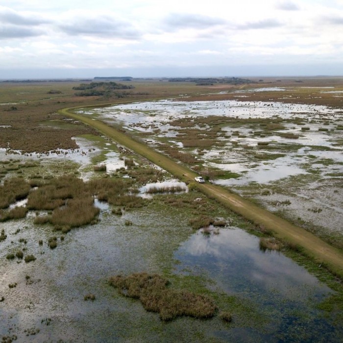 Ibera Wetlands - day trip