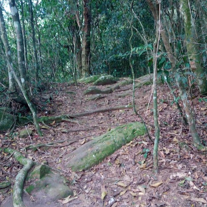 Trekking excursion to Teyú Cuare Provincial Park