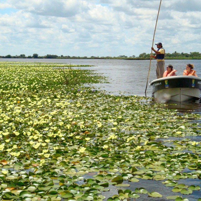 Esteros del Iberá - Colonia Carlos Pellegrini
