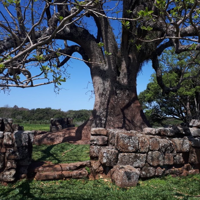 Misiones Jesuíticas de Brasil San Miguel y Santo Angelo