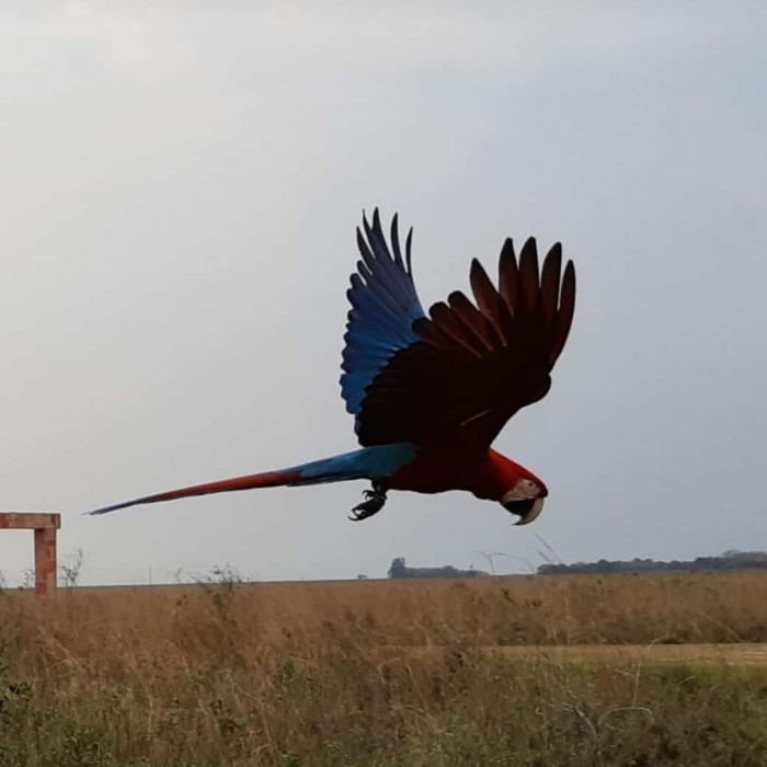 Noreste Argentino 5 días - Naturaleza e Historia