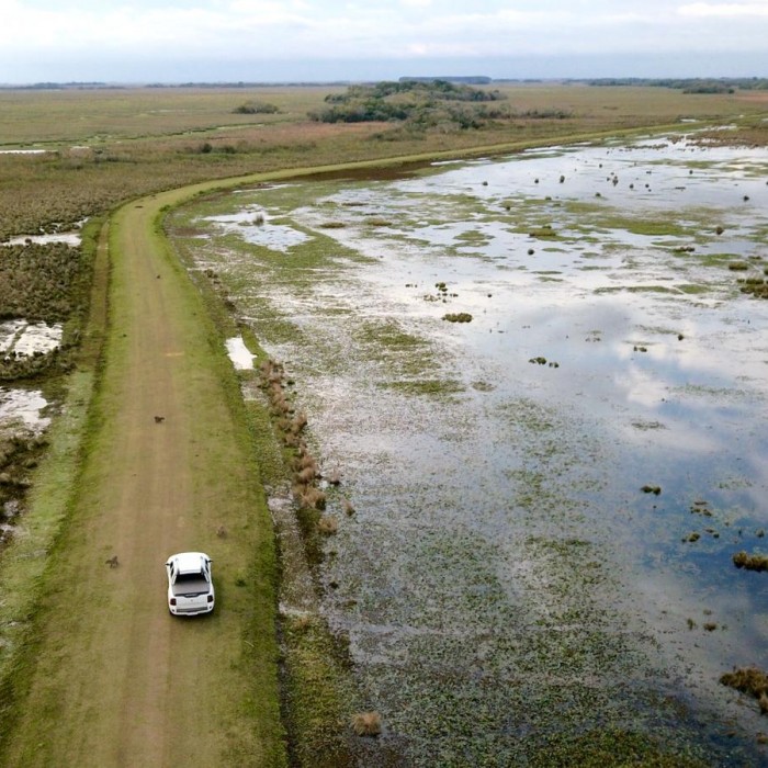 Excursión full day al Parque Nacional Esteros del Ibera 