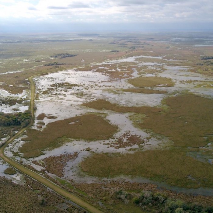 Excursión full day al Parque Nacional Esteros del Ibera 