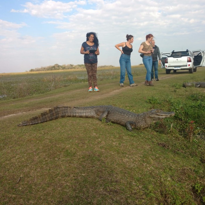 Excursión full day al Parque Nacional Esteros del Ibera 