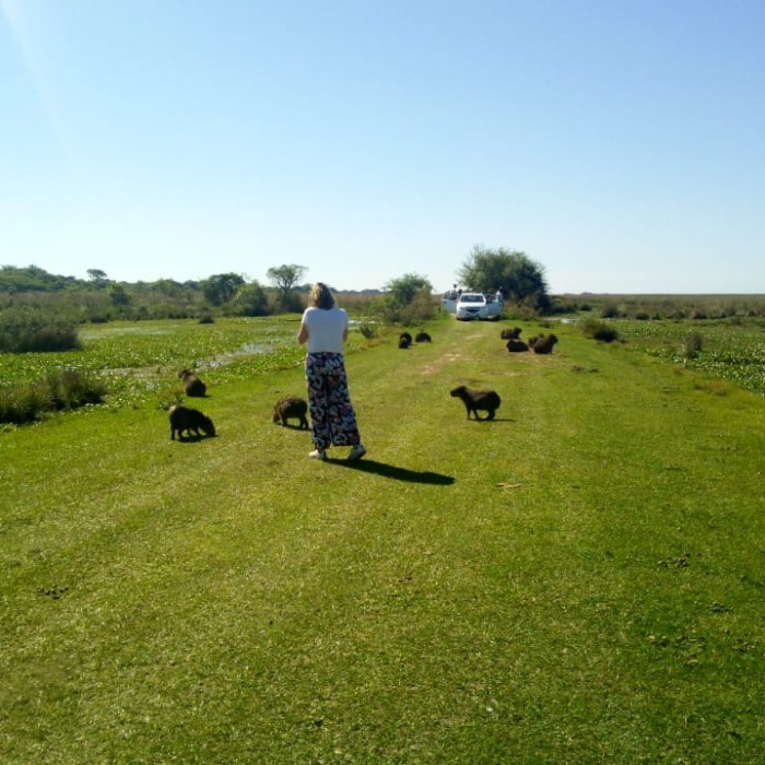 Excursión full day al Parque Nacional Esteros del Ibera 